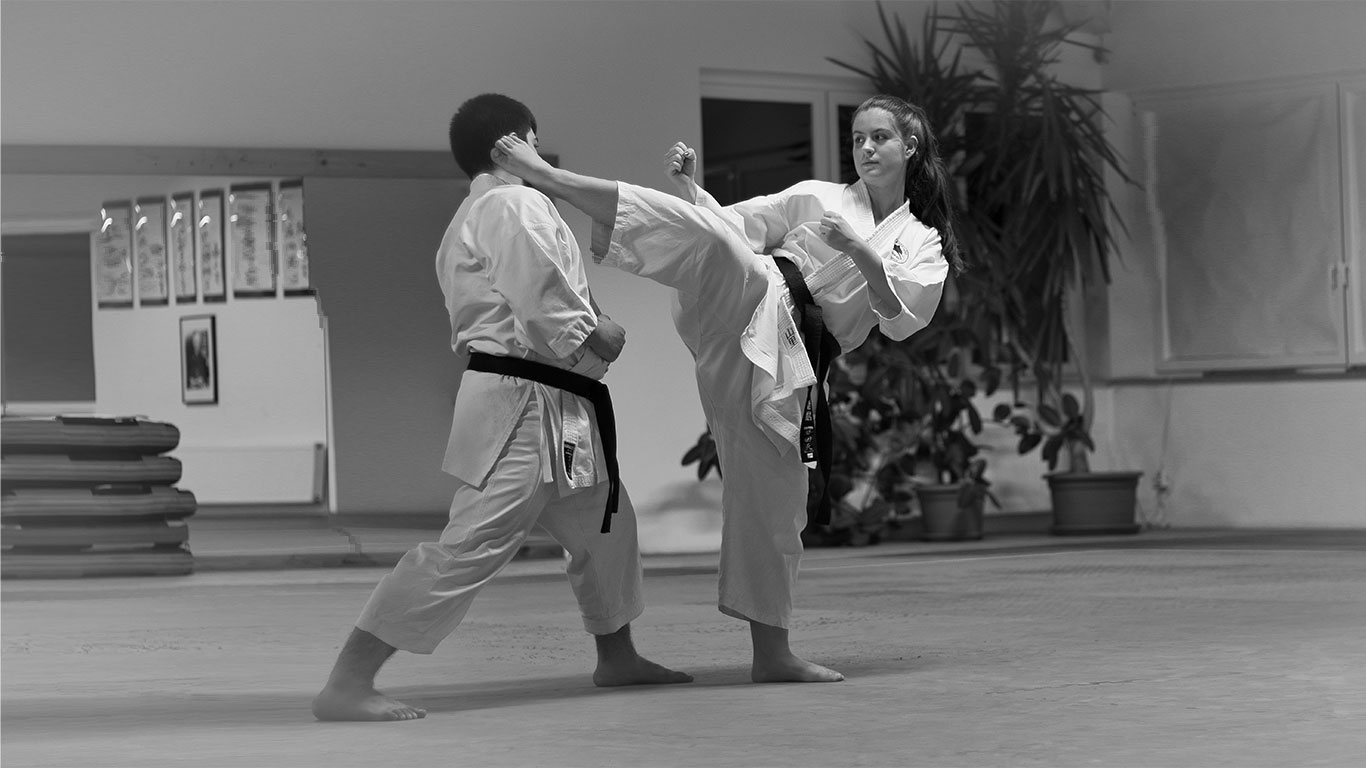 Karate KODOKAN e.V. | Bewegung für Körper und Geist